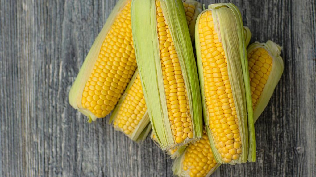 Resep Masakan Dari Jagung