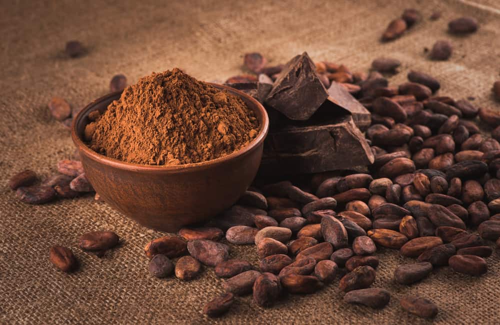 proses pengolahan biji kakao menjadi coklat bubuk