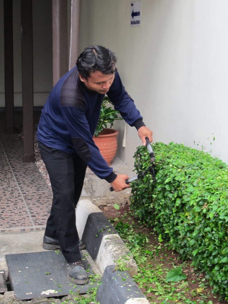 Bandung, kota yang terkenal dengan sejuknya udara pegunungan dan keindahan alamnya, memiliki banyak tukang taman yang berperan penting dalam menjaga dan merawat keindahan alam di tengah kesibukan perkotaan. Tukang taman Bandung adalah para ahli dalam seni lanskap, tata kebun, dan perawatan tanaman yang berdedikasi untuk menciptakan ruang hijau yang indah dan menyegarkan di berbagai lingkungan kota. Peran tukang taman sangat penting dalam menjaga keseimbangan antara perkembangan perkotaan yang pesat dengan kebutuhan akan ruang hijau yang sehat dan nyaman. Mereka tidak hanya mempercantik kota dengan tanaman-tanaman yang indah, tetapi juga memainkan peran penting dalam menjaga lingkungan hidup dan meningkatkan kualitas udara. Tanaman yang ditanam oleh tukang taman dapat membantu mengurangi polusi, menyerap karbon dioksida, dan menciptakan oksigen segar bagi penduduk kota. Salah satu keahlian yang dimiliki oleh tukang taman Bandung adalah kemampuan dalam mendesain taman yang sesuai dengan lingkungan sekitar. Mereka mengerti tentang berbagai jenis tanaman, iklim, dan tanah, sehingga dapat menciptakan taman yang tidak hanya indah, tetapi juga tahan lama dan mudah dirawat. Mereka juga mempertimbangkan faktor-faktor seperti drainase, irigasi, dan pencahayaan saat merancang taman, sehingga menciptakan ruang hijau yang nyaman bagi masyarakat. Selain merancang dan membangun taman, tukang taman Bandung juga bertanggung jawab dalam merawat dan memelihara kebun yang sudah ada. Mereka melakukan pemangkasan tanaman, penyiraman, pemupukan, dan perawatan lainnya untuk menjaga keindahan taman dan kebun tetap terjaga. Mereka juga memiliki pengetahuan tentang jenis-jenis hama dan penyakit tanaman serta tindakan pencegahan yang tepat untuk menjaga tanaman tetap sehat. Banyak tukang taman Bandung yang tidak hanya bekerja untuk klien pribadi, tetapi juga bekerja sama dengan pemerintah dan lembaga non-pemerintah untuk merancang dan membangun taman-taman umum dan taman kota. Mereka berperan dalam mengubah lahan yang tidak dimanfaatkan menjadi ruang terbuka hijau yang bermanfaat bagi warga kota. Tukang taman juga sering mengadakan kegiatan sosial seperti pelatihan bercocok tanam, kampanye penghijauan, dan kegiatan edukasi lainnya untuk mengajak masyarakat ikut serta dalam menjaga kelestarian lingkungan. Profesi sebagai tukang taman Bandung menuntut keahlian dan pengetahuan yang luas tentang dunia tanaman serta kreativitas dalam merancang taman. Mereka harus mengikuti perkembangan terkini dalam desain lanskap dan teknik perawawatan tanaman agar tetap menjadi ahli yang kompeten. Beberapa tukang taman Bandung bahkan telah mendapatkan sertifikasi dan pelatihan khusus dalam bidang ini. Tukang taman Bandung juga tidak hanya terbatas pada pekerjaan di lingkungan perkotaan. Mereka juga terlibat dalam merancang taman di perumahan, vila, hotel, dan resor di sekitar Bandung. Dengan keahlian dan kreativitas mereka, tukang taman dapat menciptakan taman yang menggabungkan elemen-elemen alami dengan sentuhan desain modern, menciptakan suasana yang menenangkan dan menghadirkan keindahan alam di lingkungan yang dibangun. Kunjungi juga: jasa taman bandung Selain itu, tukang taman Bandung juga memainkan peran penting dalam pelestarian tanaman dan keanekaragaman hayati. Mereka terlibat dalam konservasi spesies tanaman langka dan mempromosikan penggunaan tanaman asli yang endemik di daerah tersebut. Dengan mengedukasi masyarakat tentang pentingnya menjaga keanekaragaman hayati dan menghindari pengenalan tanaman invasif, mereka berperan dalam melestarikan ekosistem alami dan menjaga keseimbangan alam. Bagi masyarakat Bandung, menggunakan jasa tukang taman tidak hanya sekadar untuk mempercantik lingkungan mereka, tetapi juga untuk menciptakan tempat yang nyaman untuk beristirahat, berkumpul dengan keluarga dan teman, serta menikmati keindahan alam. Taman-taman yang dirawat oleh tukang taman Bandung menjadi tempat yang ideal untuk beraktivitas fisik, bersantai, dan menghirup udara segar di tengah kesibukan kota. Tukang taman Bandung, dengan keahlian dan dedikasi mereka dalam menciptakan keindahan alam di tengah kota, memberikan kontribusi yang berarti bagi masyarakat dan lingkungan. Mereka tidak hanya menciptakan taman yang indah, tetapi juga membangun kesadaran akan pentingnya menjaga keanekaragaman hayati dan kelestarian lingkungan. Dengan karya mereka, tukang taman Bandung mengubah wajah kota menjadi tempat yang lebih hijau, sehat, dan menyenangkan untuk dihuni.