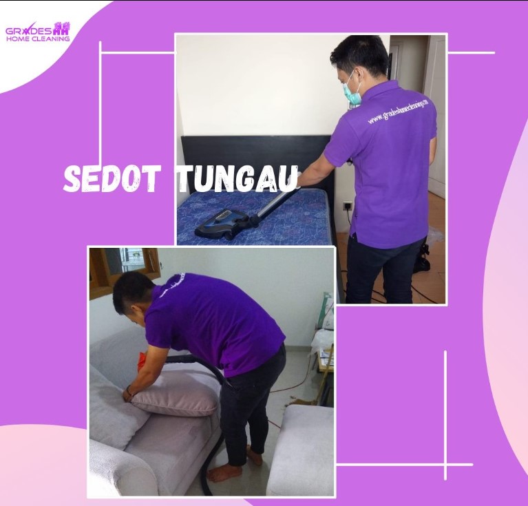 Tungau atau Dust Mites