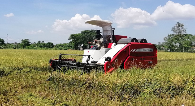 Mesin panen padi combine harvester