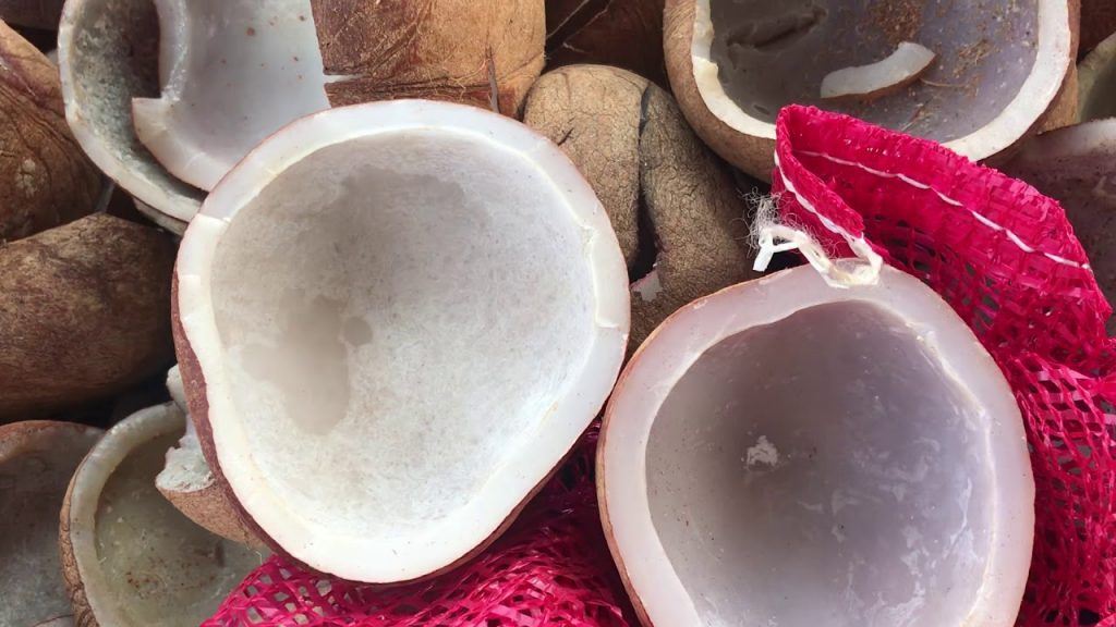 cara buat kopra kelapa